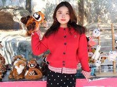 -灵玲国际马戏城