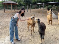 -泉州海丝野生动物世界