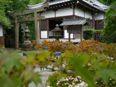 -常寂光寺