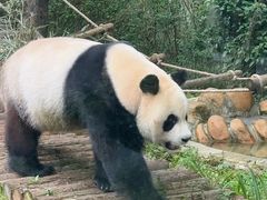 -黔灵山公园