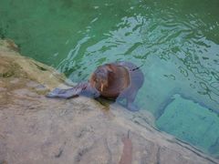-珠海长隆海洋王国