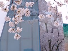 -龙美术馆(西岸馆)