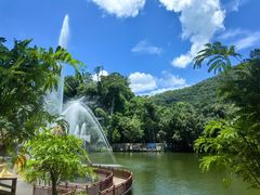 -西双版纳原始森林公园