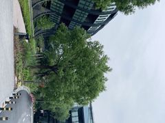 -上海滴水湖皇冠假日酒店