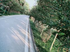 -武汉紫薇都市田园