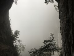 -百色大石围天坑群