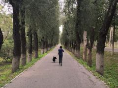 -东郊湿地公园