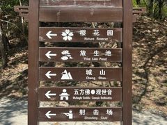 -金龙寺国家森林公园