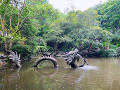 -汇龙潭