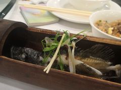 -勝記酒家·37年老字号·经典粤菜(荔枝公园店)
