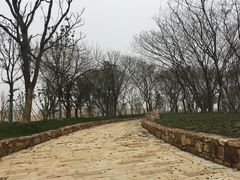 -盘龙城国家考古遗址公园