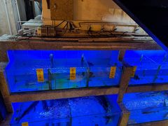 -鹅滋道(甘坑古镇店)