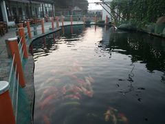 -湖鲜楼