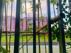 -杭州观成实验学校