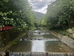 -广州白江湖森林公园