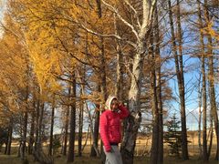 -塞罕坝国家级自然保护区