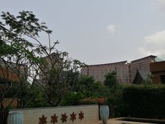 -三亚湾红树林度假世界(木棉酒店)