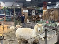 -上海大自然野生昆虫馆(东方明珠·爬宠昆虫探索中心)