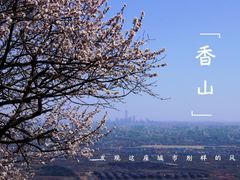 -香山公园