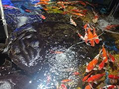 -太平洋海底世界