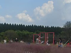 -嘉北郊野公园