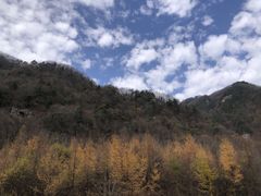 -沣峪口
