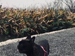 -尚贤河湿地