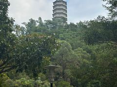 -深圳国际园林花卉博览园