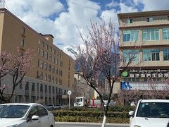 -南渝食府.墨脱石锅松茸鸡