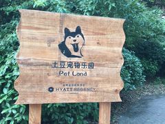 -上海崇明金茂凯悦酒店