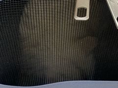 -瑞派长江宠物医院·猫科·外科·24小时夜护(谊城公寓分院)
