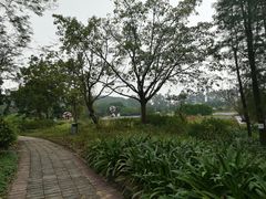 -南沙蒲洲花园