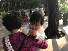 -大湾区中央湿地公园