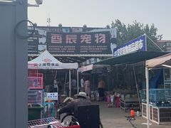-中环花鸟鱼虫市场