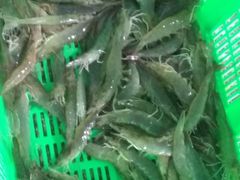 -霞涌市场海鲜摆卖区