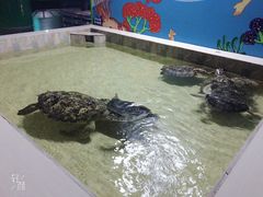 -常州海昌海洋探索馆