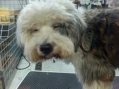 -佛山京华广场MALL