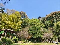 -三游洞