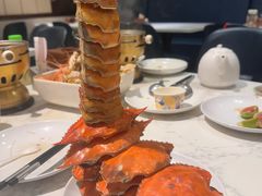 -凯鸽酒楼(水泉湾龙园店)