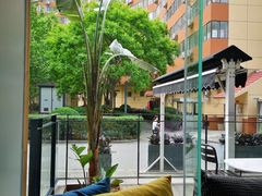 景观位-the rug 飞毯 (朝阳公园店)