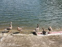 -广州市干部健康管理中心
