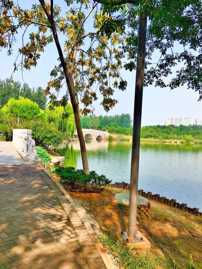 大兴滨河森林公园-"完全就是一个市民广场,有跟着教练学溜冰的.