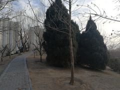 -望湖公园