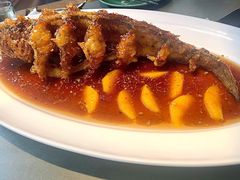 -晟永興烤鸭店(五道口店)