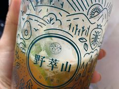 -野萃山·潮汕厚果汁(十亩地店)