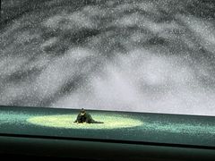-上海东方艺术中心