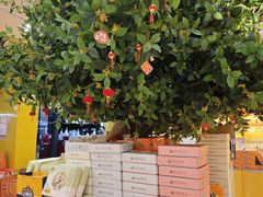 -金顺昌桂林桂花伴手礼(正阳一店)