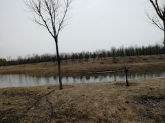 -东郊湿地公园