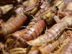 -沈阳和平艾美酒店新食谱西餐厅