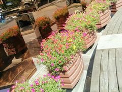 -恒生商业广场(上丰店)